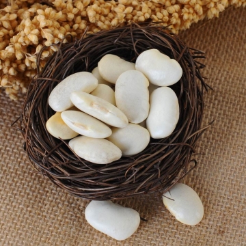 Large white Kidney Beans